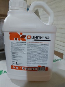 Ципи, КЭ
